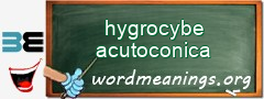 WordMeaning blackboard for hygrocybe acutoconica